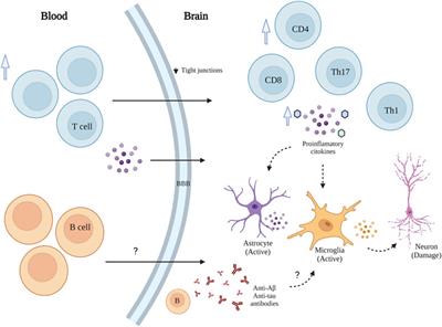 Revisiting the neuroinflammation hypothesis in Alzheimer’s disease: a focus on the druggability of current targets